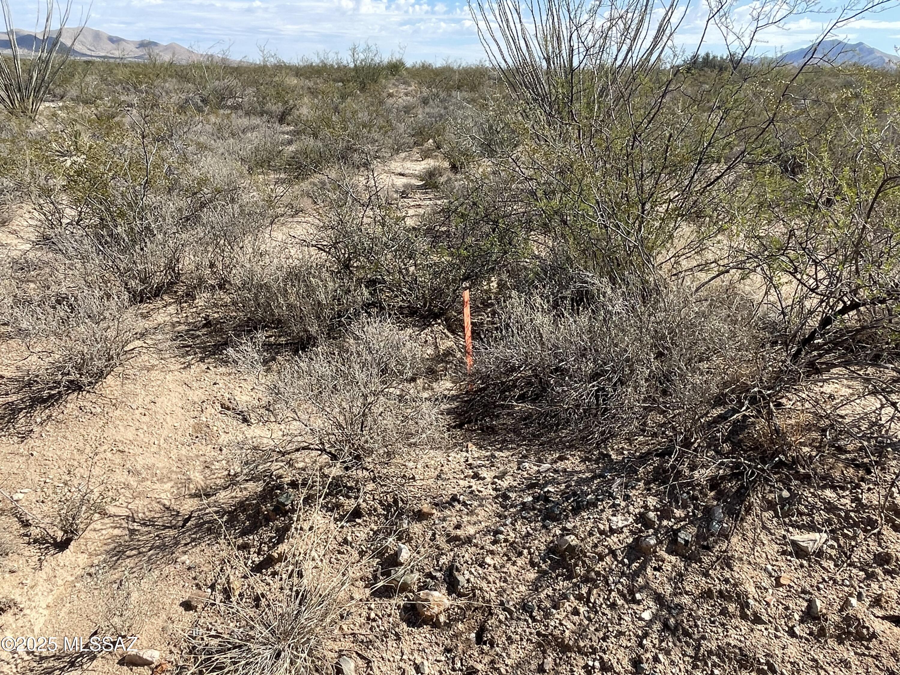 East Dragoon Valley Rd Street St. David, AZ 85630 - Photo 7 of 11 a view of a yard with a tree
