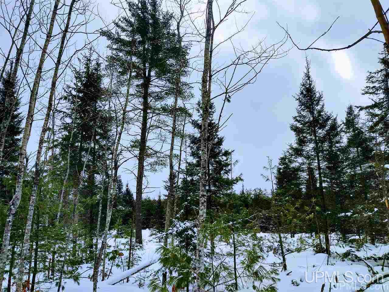 Tbd Forest Hwy 16 Road Iron River, MI 49935 - Photo 11 of 49