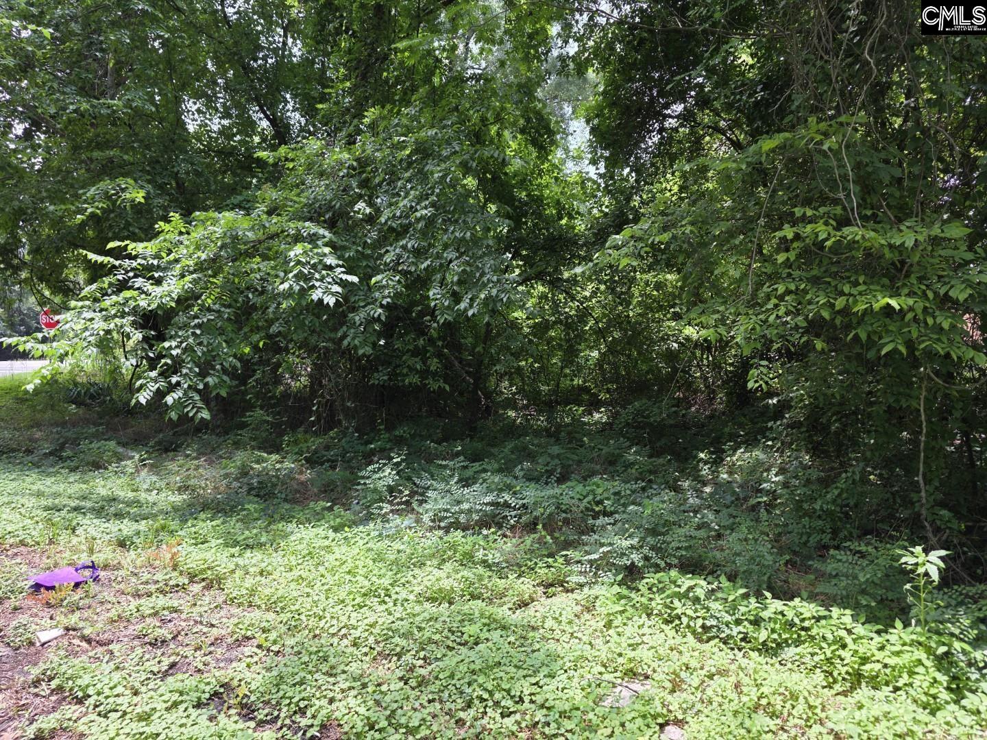2729 Harlem Street Columbia, SC 29209 - Photo 1 of 5