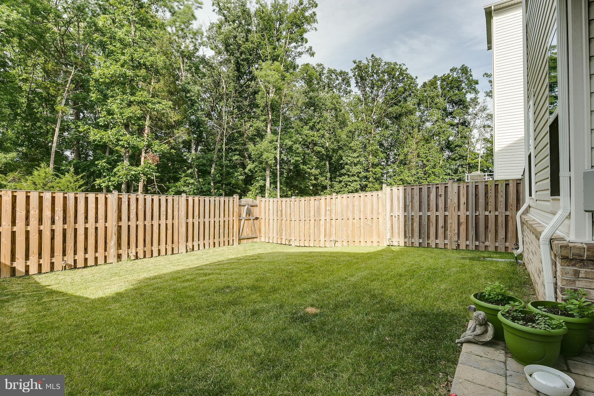 42251 Castle Ridge Square Ashburn, VA 20148 - Photo 25 of 29 Beautiful view of the yard from the private patio