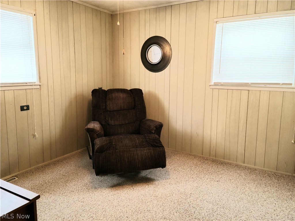 444 Spring Street Struthers, OH 44471 - Photo 12 of 22 Gallery Image 12