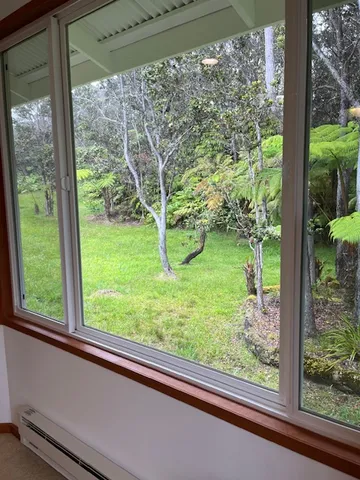 a view of a garden from a window