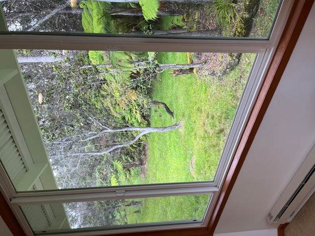 19-4221 Haunani Road Volcano, HI 96785 - Photo 13 of 30 a view of a garden from a window