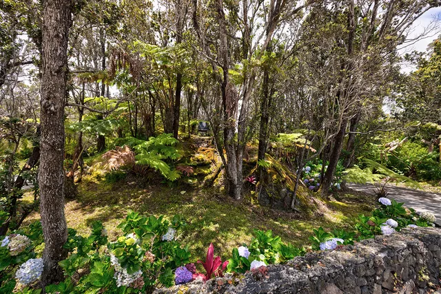 a backyard of a house with lots of green space