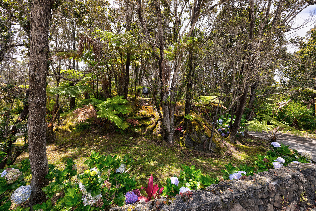19-4221 Haunani Road Volcano, HI 96785 - Photo 22 of 30 a backyard of a house with lots of green space
