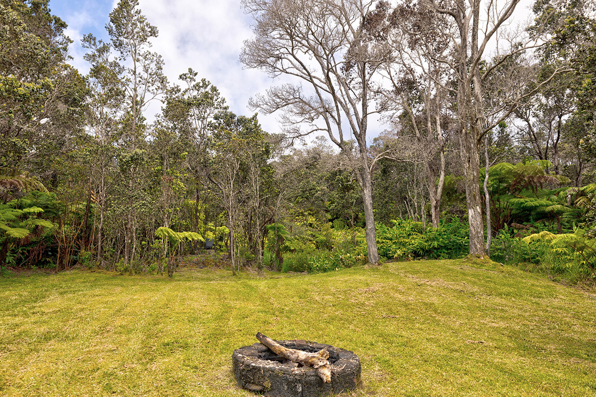 19-4221 Haunani Road Volcano, HI 96785 - Photo 25 of 30 a swimming pool with some trees and plants