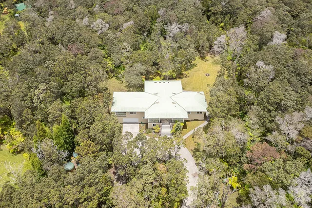 a picture of a wall with a tree in front of it