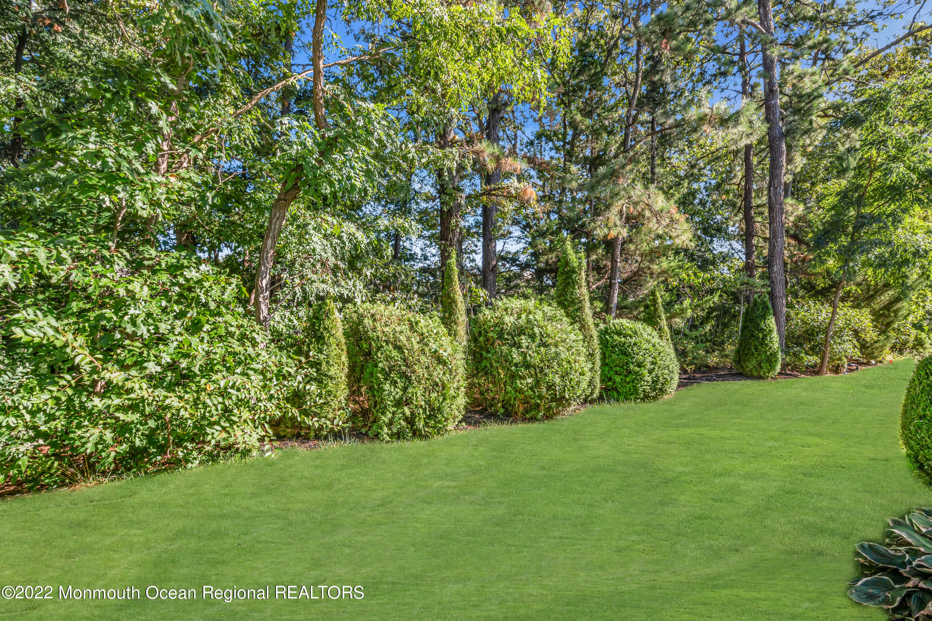 59 Quail Road Barnegat, NJ 08005 - Photo 3 of 30 a view of a yard with a trees