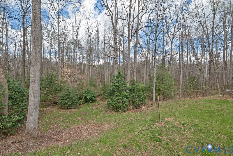 4590 Fox Chase Run Road Gum Spring, VA 23065 - Photo 20 of 31 Rear view of trees
