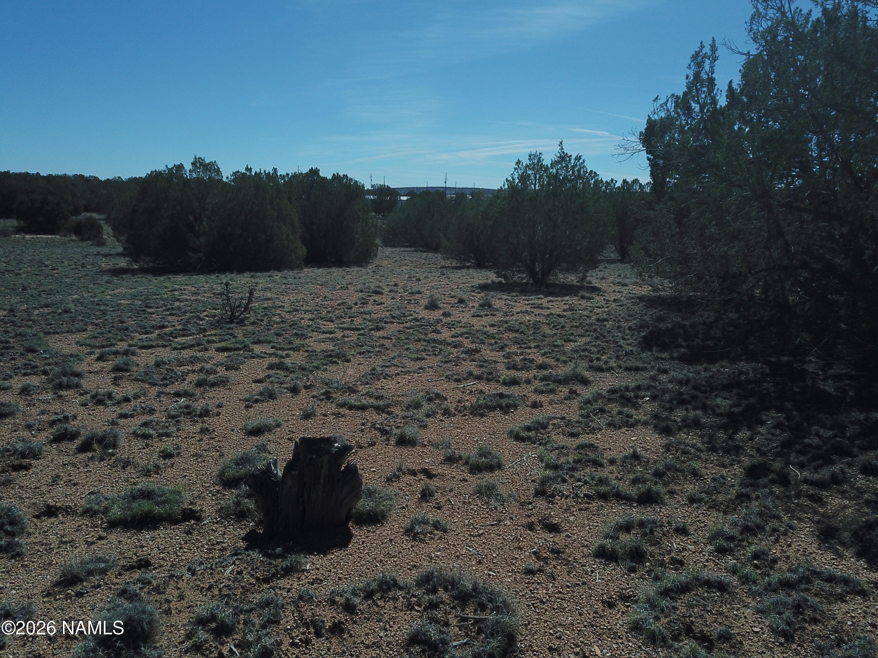 25935 Fort Rock Road Seligman, AZ 86337 - Photo 6 of 10 DJI_0452