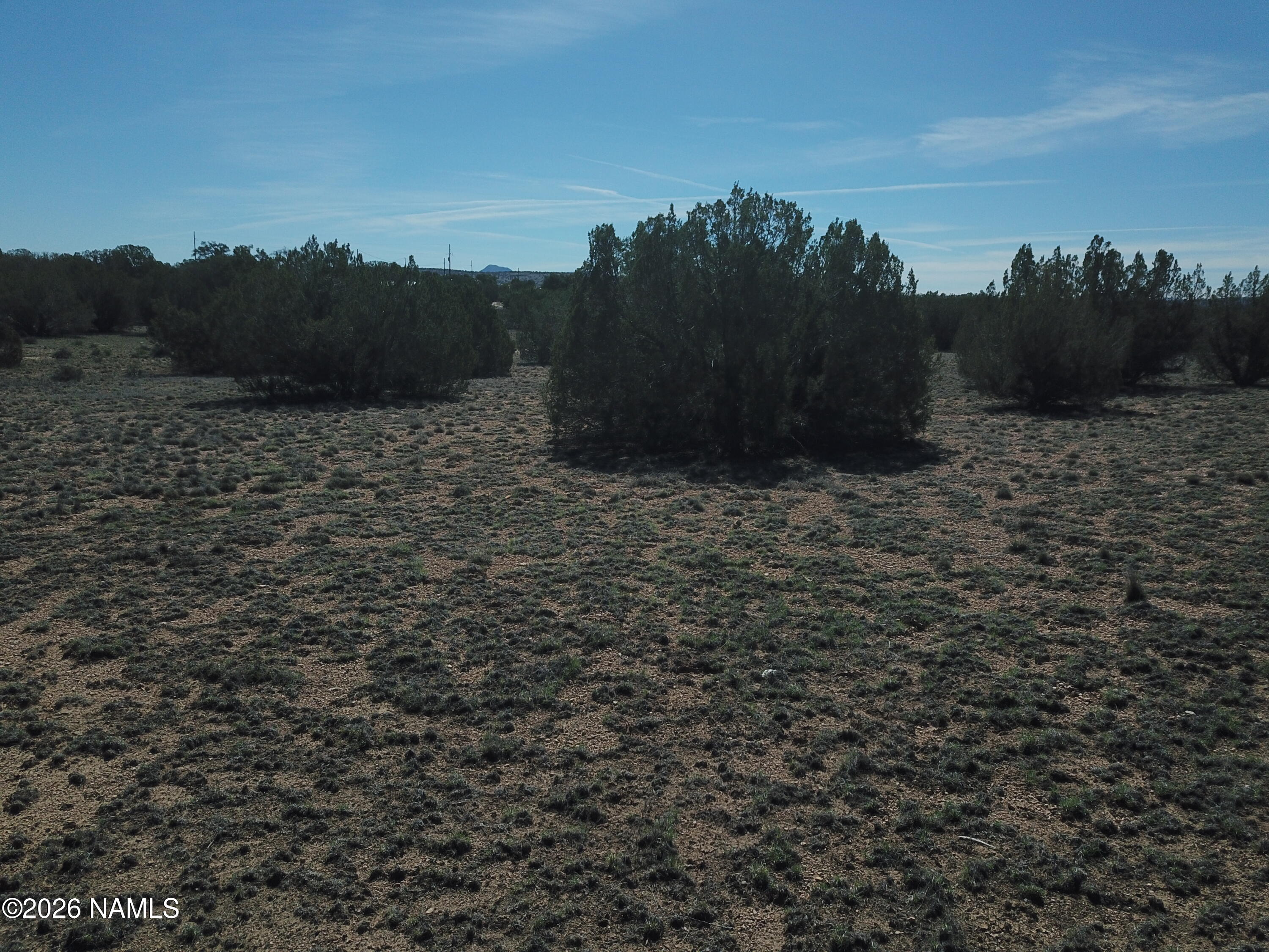 25935 Fort Rock Road Seligman, AZ 86337 - Photo 7 of 10 DJI_0453