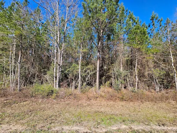 $399,500 | 0 C B C B Whitehead Road, Ponce de Leon, FL 32455