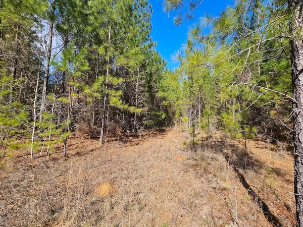 $399,500 | 0 C B C B Whitehead Road, Ponce de Leon, FL 32455