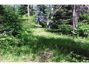 * Forest Lake Road Whitefield, NH 03598 - Photo 3 of 8