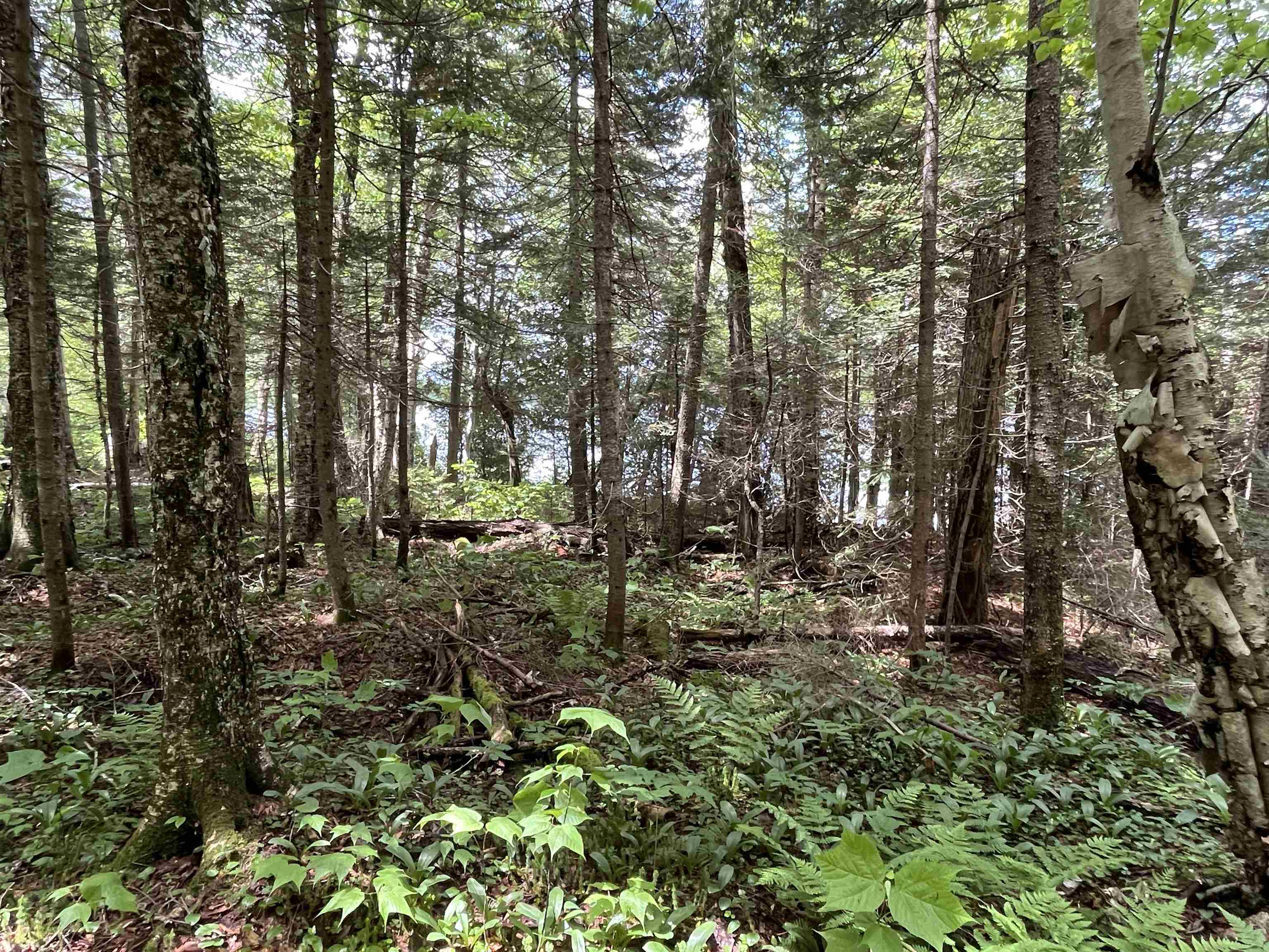 248 Cowan Road Averill, VT 05901 - Photo 26 of 27