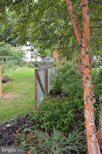 558 Riverside Drive Pasadena, MD 21122 - Photo 23 of 30 Rain Garden