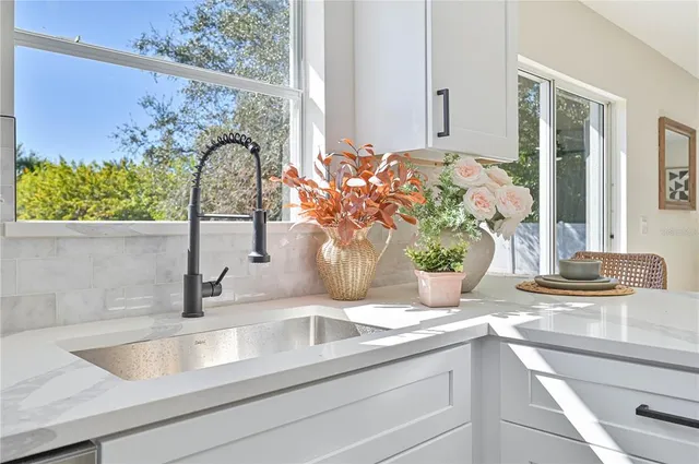 a close view of sink and a potted plant