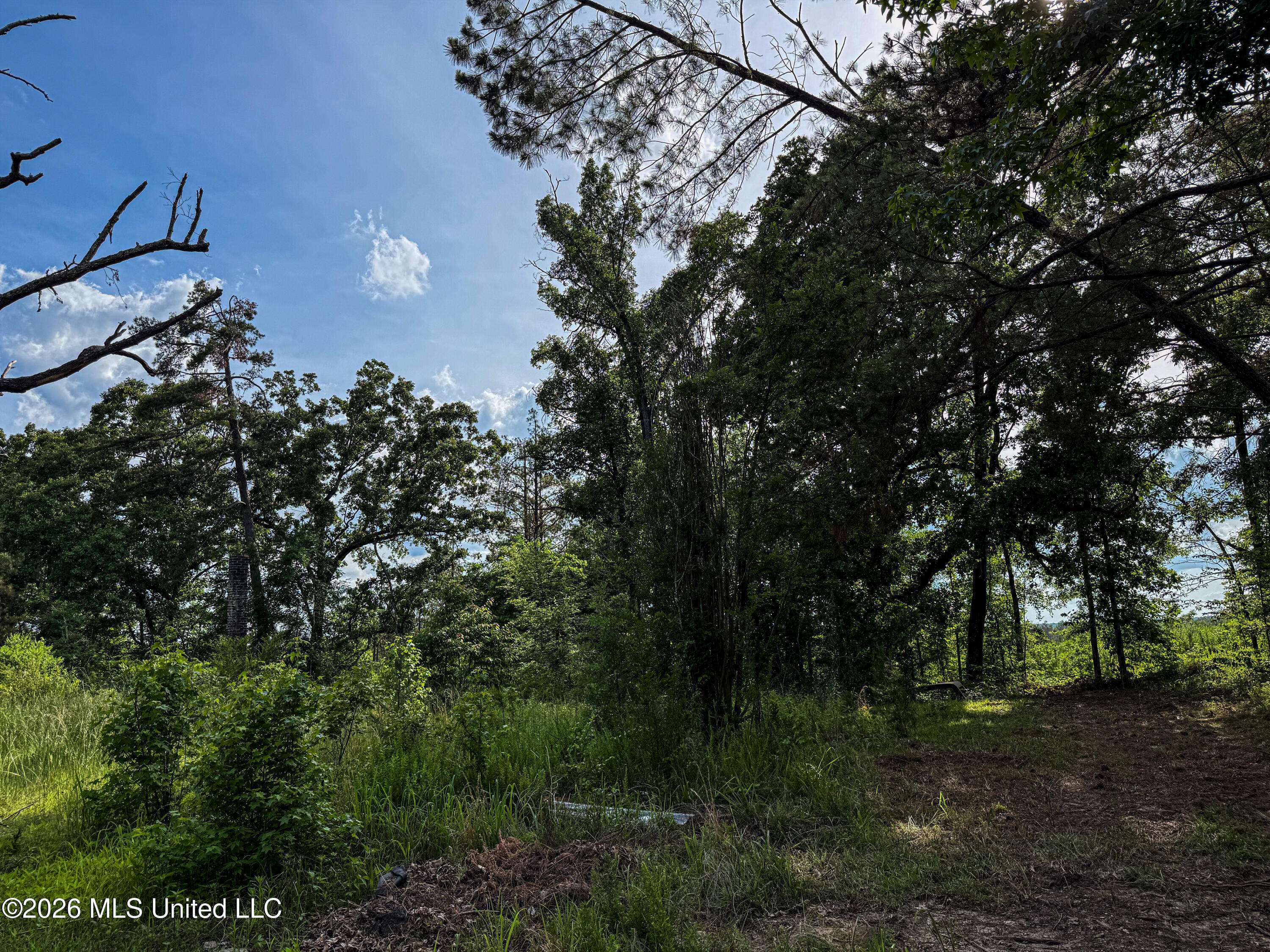 816 County Road Blue Mountain, MS 38610 - Photo 15 of 21 IMG_1385