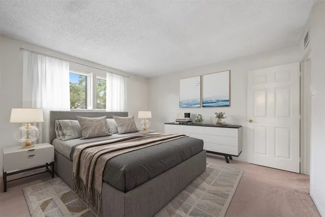 a bedroom with a bed and a couch