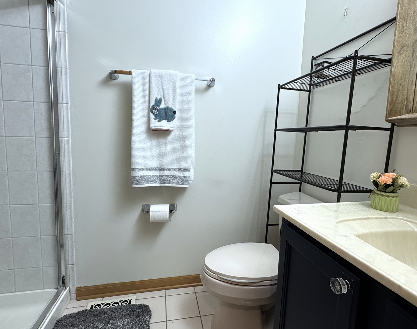 623 Steamboat Road Naperville, IL 60565 - Photo 18 of 37