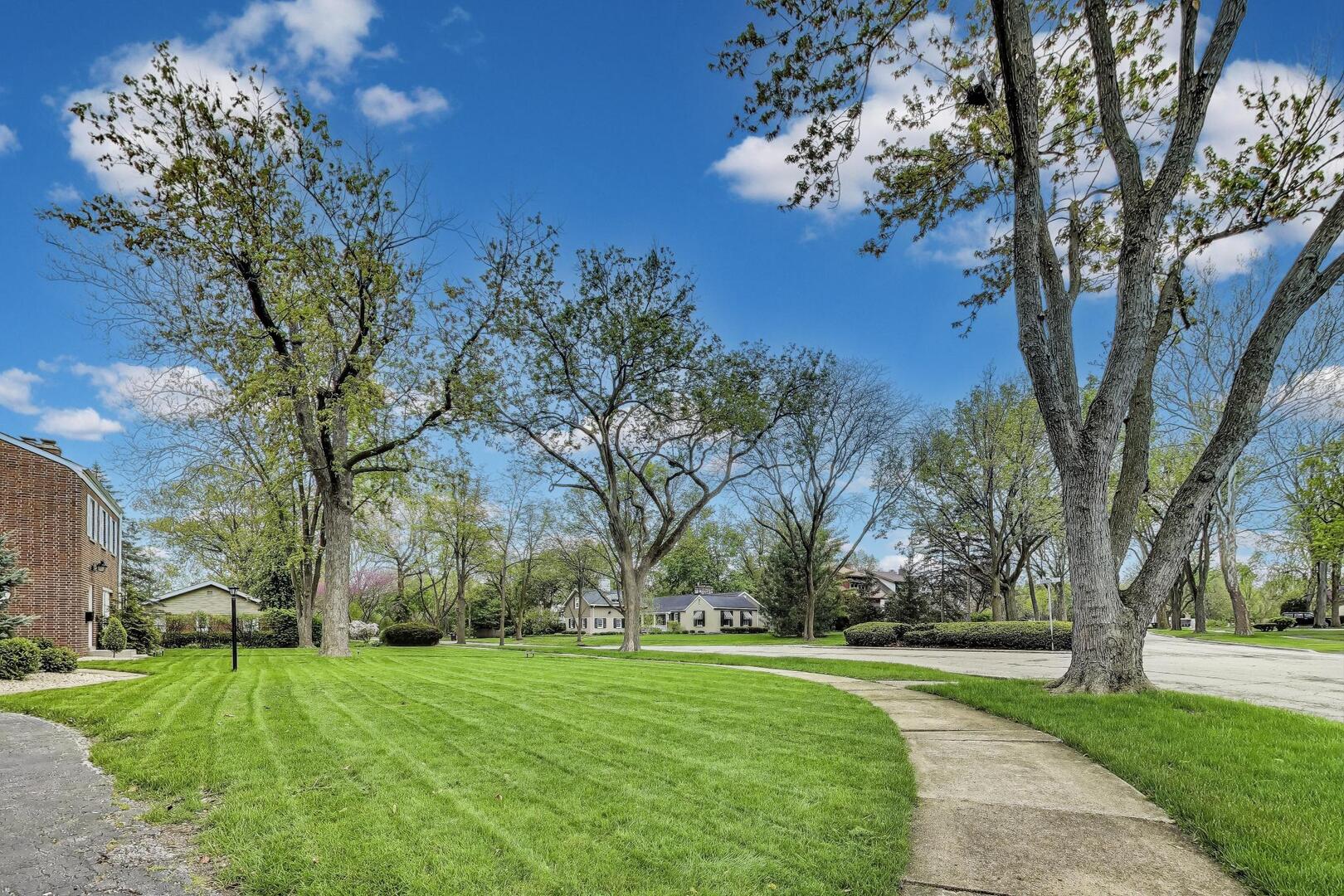 2515 Gordon Drive Flossmoor, IL 60422 - Photo 4 of 42 a view of a park with large trees