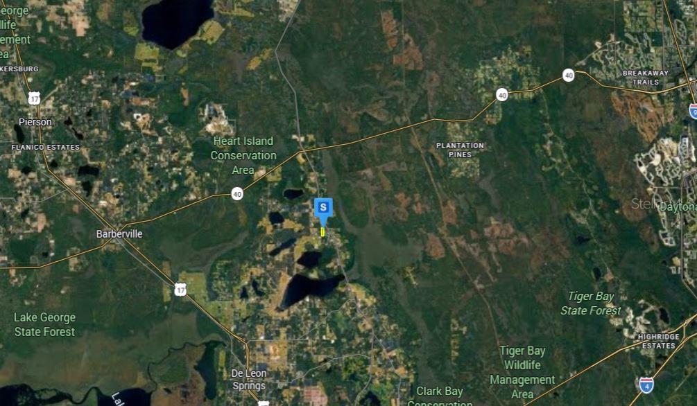 1660 Red Dog Road De Leon Springs, FL 32130 - Photo 4 of 5