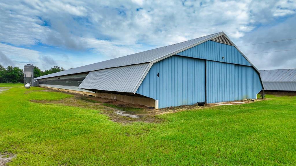 4224 Bee Line Road Coolidge, GA 31738 - Photo 78 of 91 Gallery Image 78