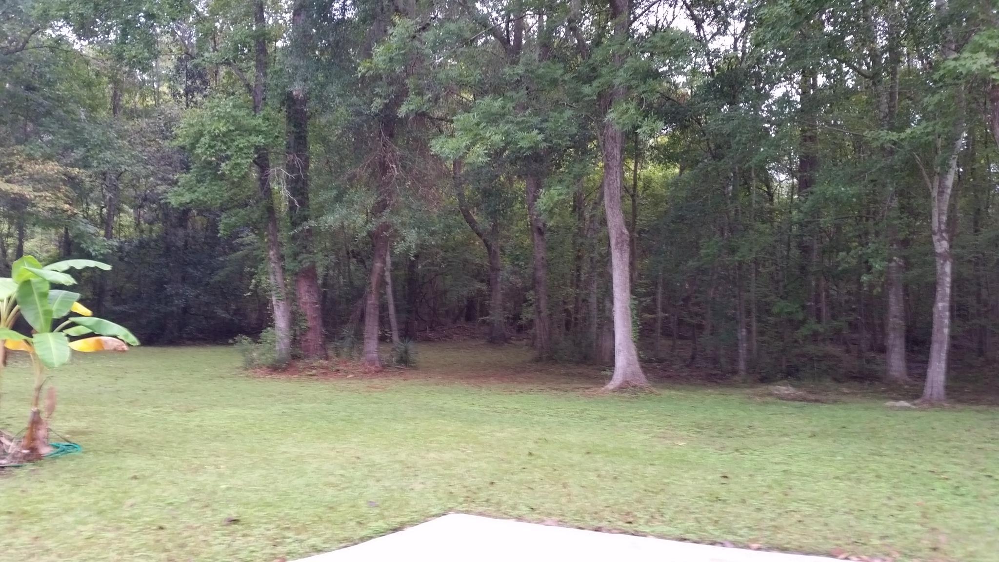 149 Old Course Road Summerville, SC 29485 - Photo 3 of 24 View from driveway to backyard