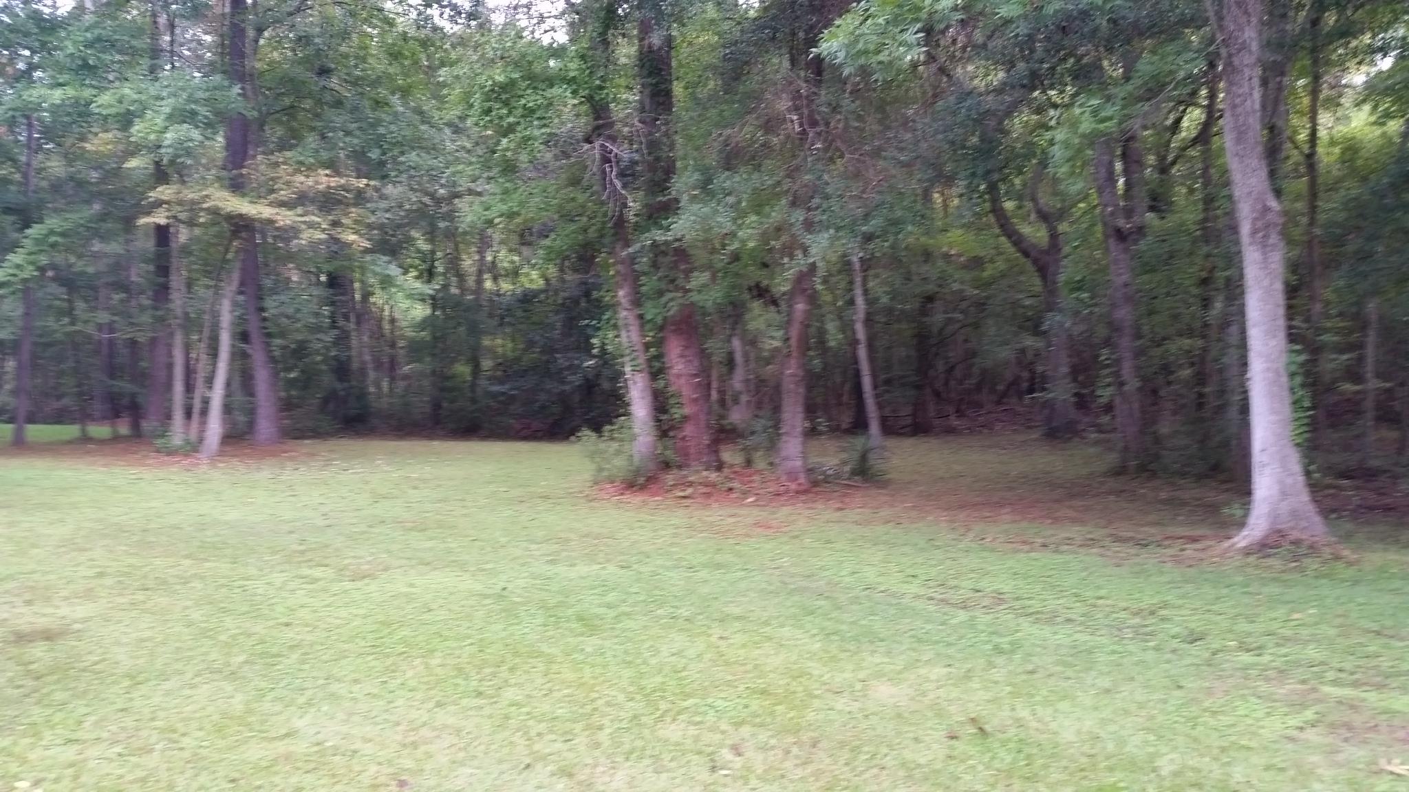 149 Old Course Road Summerville, SC 29485 - Photo 4 of 24 View of back yard