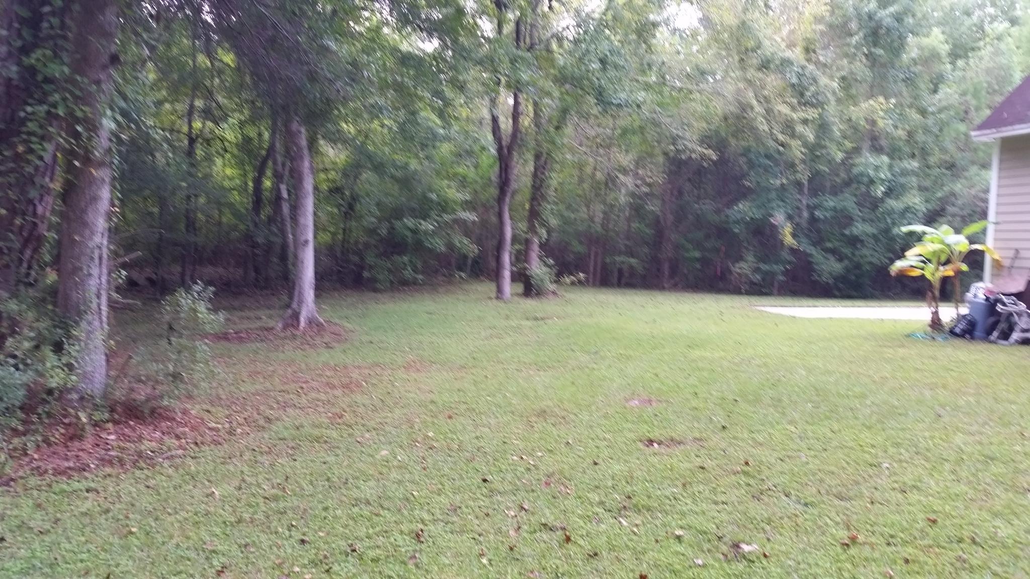 149 Old Course Road Summerville, SC 29485 - Photo 5 of 24 View to Wetlands Buffer along side of pr