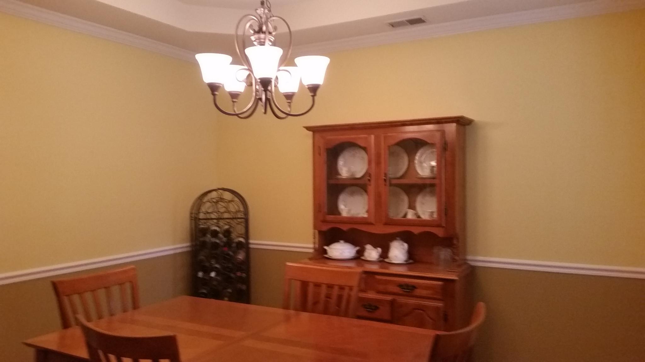 149 Old Course Road Summerville, SC 29485 - Photo 9 of 24 Dining Room with Tray Ceiling