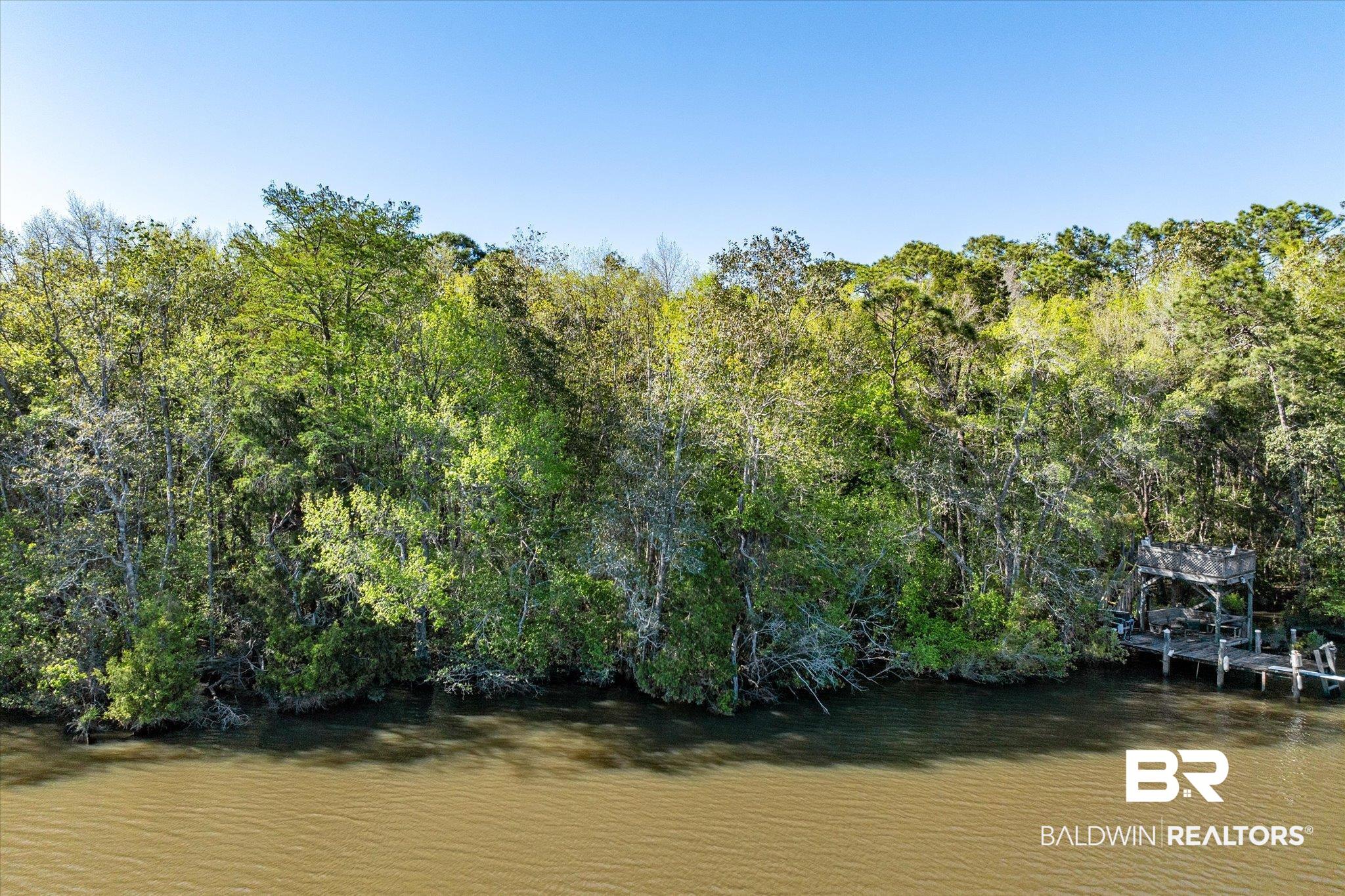 16620 Ferry Road Fairhope, AL 36532 - Photo 18 of 28 View of local wilderness with a wooded view