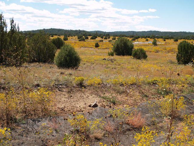 940 South Ridgeway Place, Unit 98 Show Low, AZ 85901 - Photo 1 of 6 Primary Photo