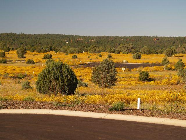 940 South Ridgeway Place, Unit 98 Show Low, AZ 85901 - Photo 5 of 6 Additional Photo