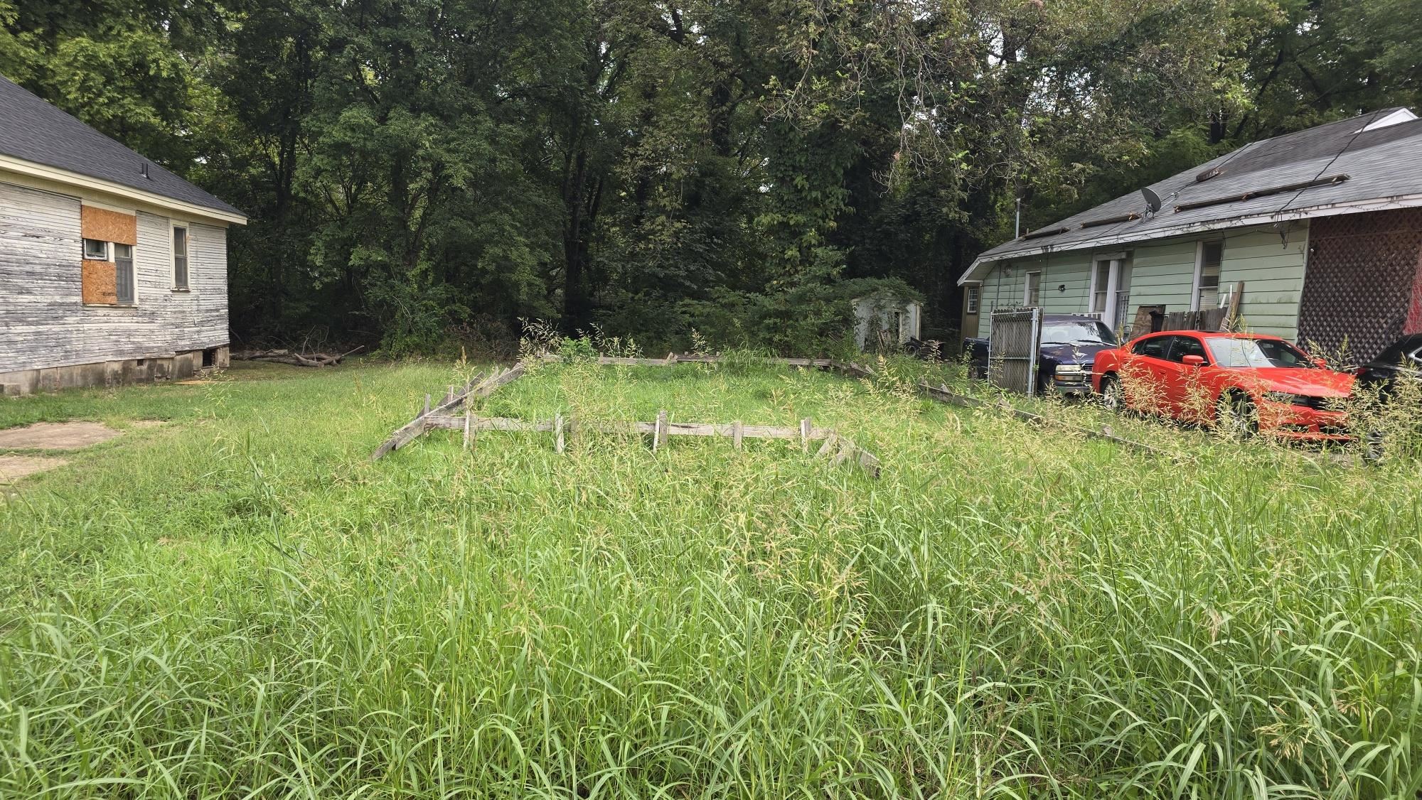 a view of backyard with garden and entertaining space