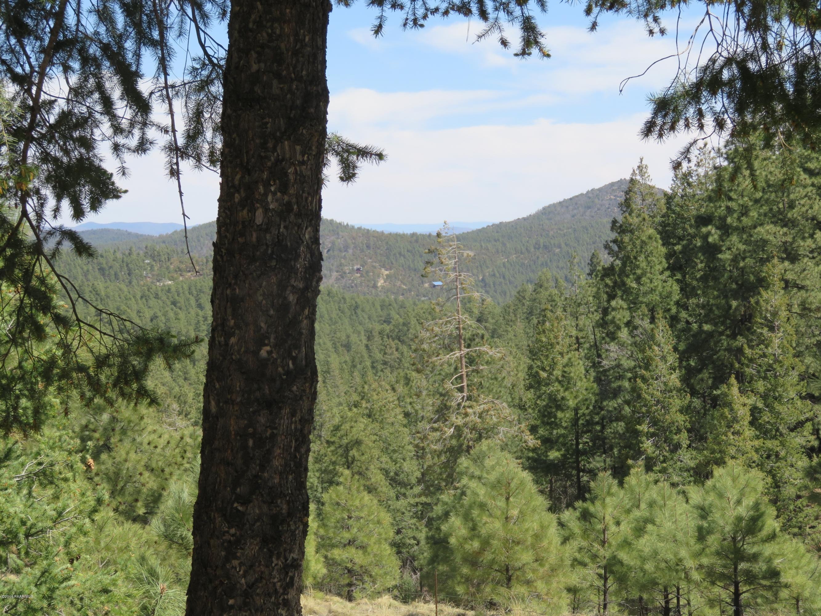 3744 East Sheldon Road Prescott, AZ 86303 - Photo 25 of 25 Great Mountain Views