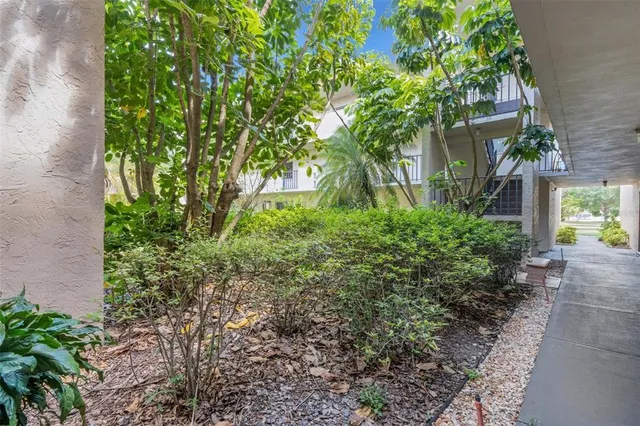 a view of a garden with plants
