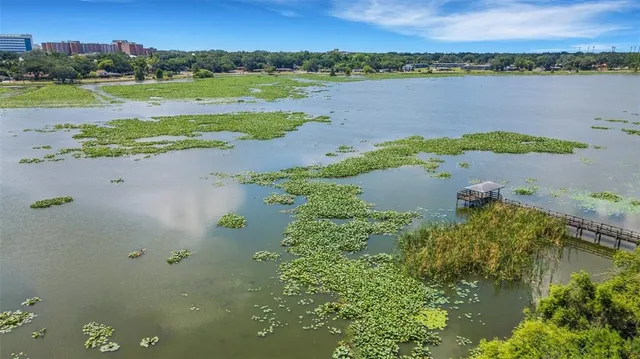 a view of a lake with a mountain