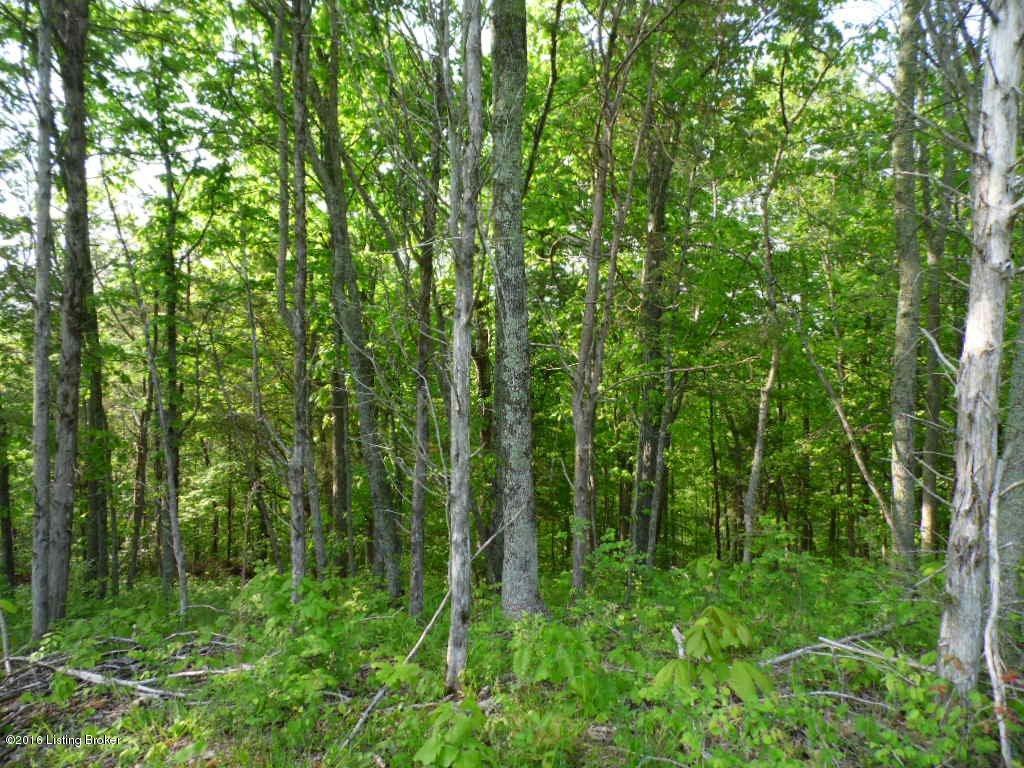 1025 Vaughn Road Lawrenceburg, KY 40342 - Photo 15 of 19 1609709_19