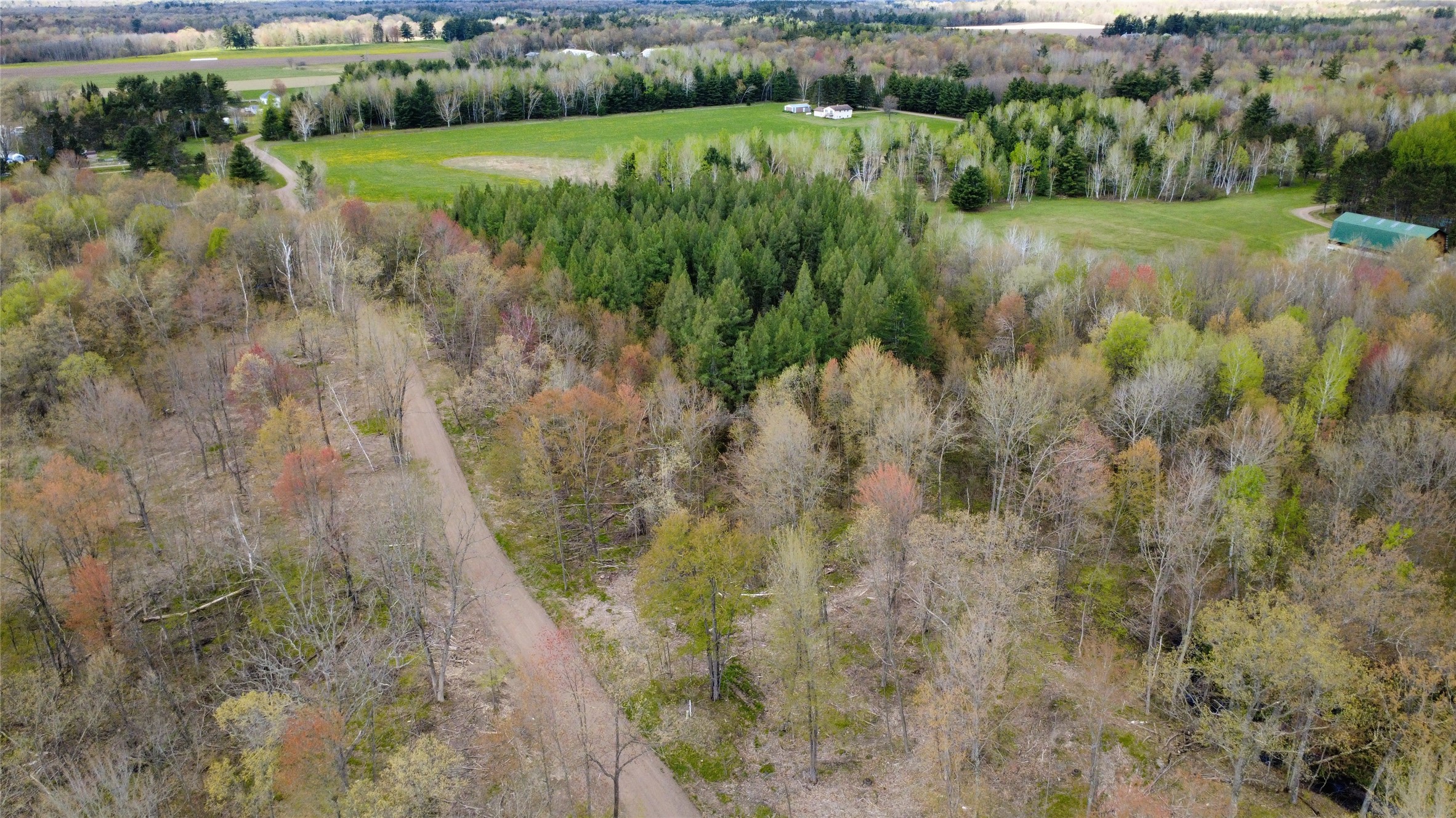 0 Ramer Road Bruce, WI 54819 - Photo 5 of 23