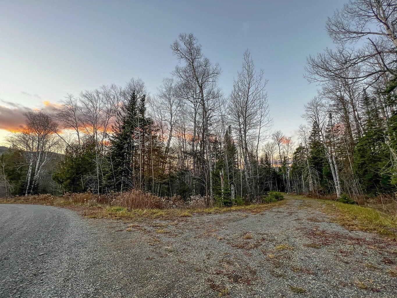 Lot 16 Mill Brook Road Sandy River Plt, ME 04970 - Photo 5 of 44