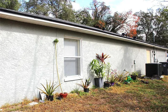 a couple of potted plants in front of door
