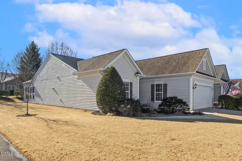 a view of a yard with plants and large trees