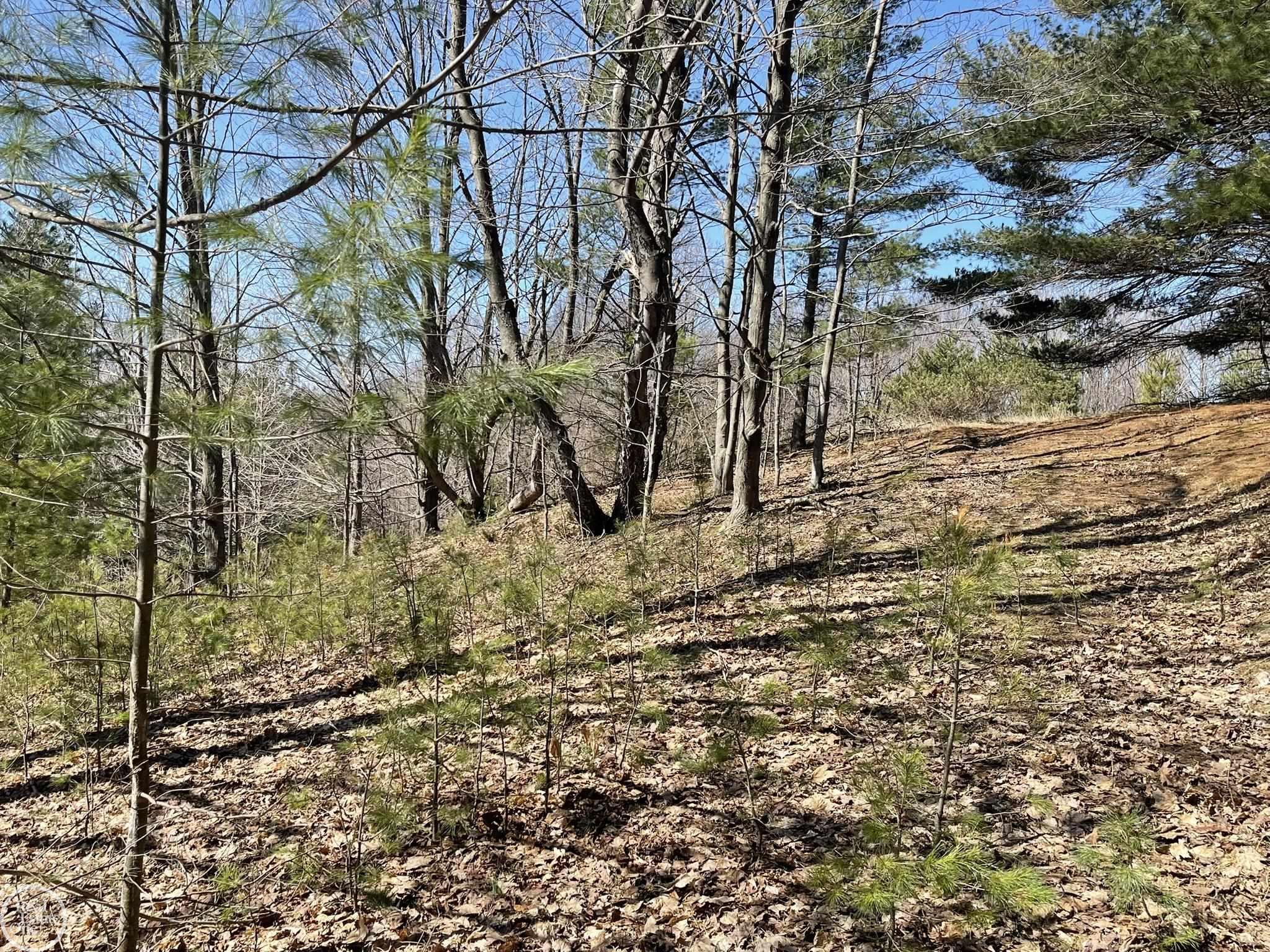 South Fritz Road Maple City, MI 49664 - Photo 13 of 14