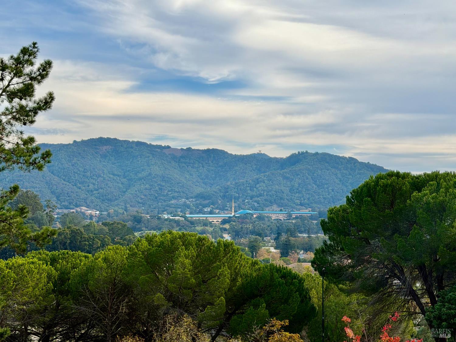 100 Thorndale Drive, Unit 125 San Rafael, CA 94903 - Photo 20 of 22