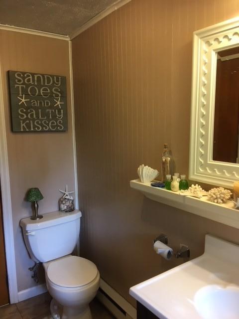 549 Blue Ridge Drive Blue Ridge, VA 24064 - Photo 16 of 22 a bathroom with a toilet a sink and mirror