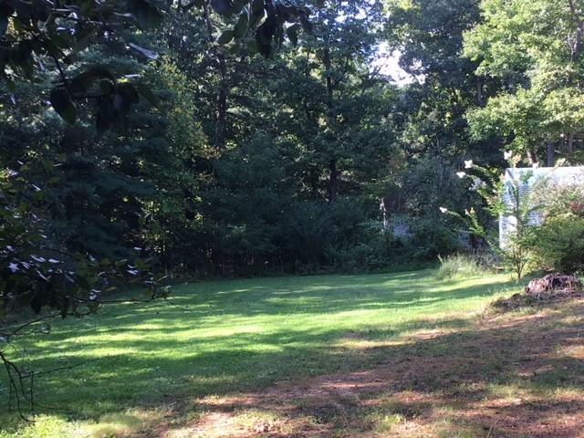 549 Blue Ridge Drive Blue Ridge, VA 24064 - Photo 3 of 22 a view of a park