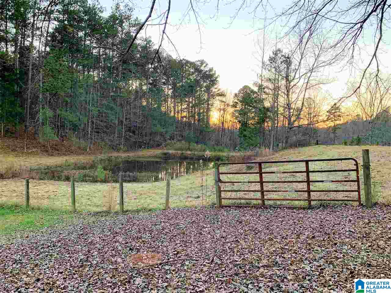 7786 Rabbittown Road Piedmont, AL 36272 - Photo 2 of 31