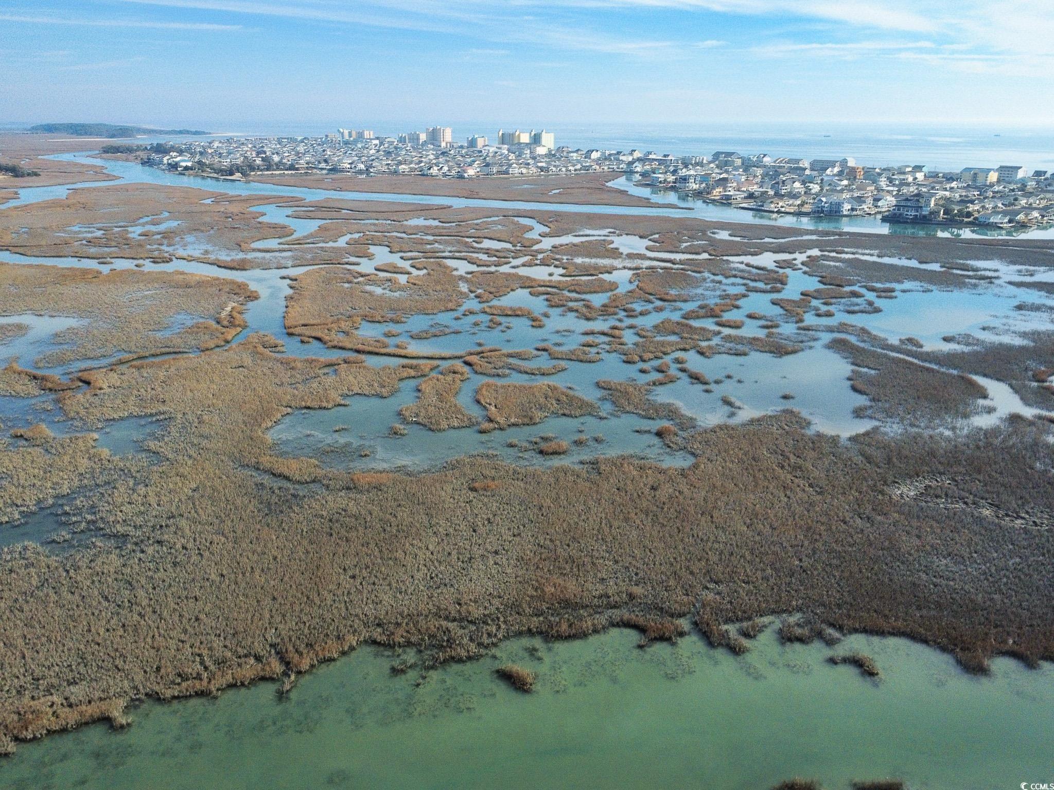 4504 Mallard Street North Myrtle Beach, SC 29582 - Photo 3 of 26