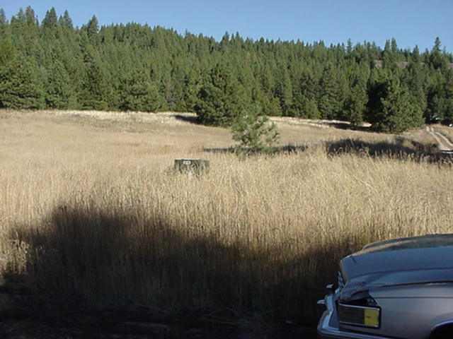 4501 Luther Road Springdale, WA 99173 - Photo 1 of 3